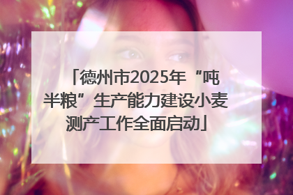 德州市2025年“吨半粮”生产能力建设小麦测产工作全面启动