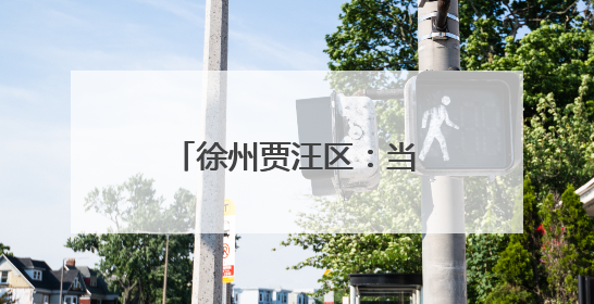 徐州贾汪区：当好“头雁”代表 助力乡村振兴