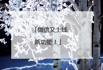 微信又上线新功能！