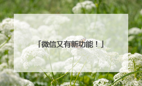 微信又有新功能！