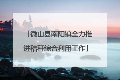 微山县南阳镇全力推进秸秆综合利用工作