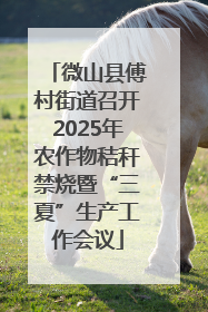 微山县傅村街道召开2025年农作物秸秆禁烧暨“三夏”生产工作会议