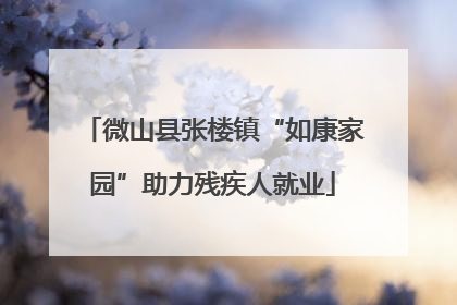 微山县张楼镇“如康家园”助力残疾人就业