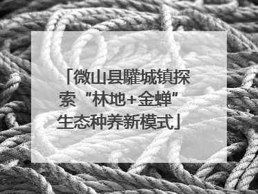 微山县驩城镇探索“林地+金蝉”生态种养新模式