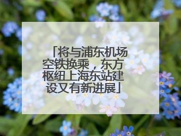 将与浦东机场空铁换乘，东方枢纽上海东站建设又有新进展