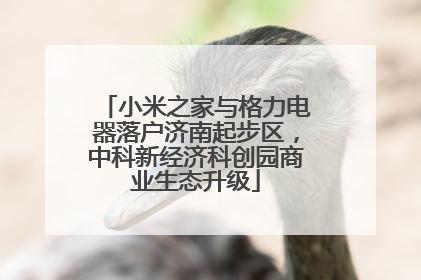小米之家与格力电器落户济南起步区，中科新经济科创园商业生态升级