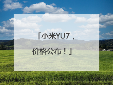 小米YU7，价格公布！