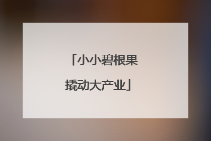 小小碧根果撬动大产业