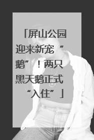 屏山公园迎来新宠“鹅”！两只黑天鹅正式“入住”