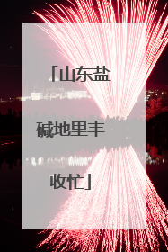 山东盐碱地里丰收忙