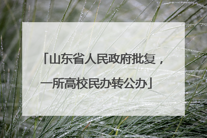 山东省人民政府批复，一所高校民办转公办