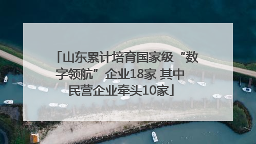 山东累计培育国家级“数字领航”企业18家 其中民营企业牵头10家