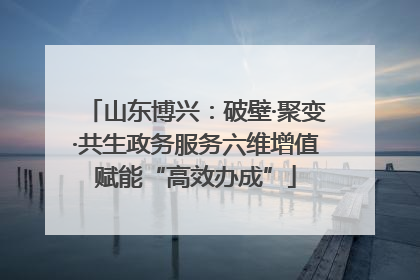山东博兴：破壁·聚变·共生政务服务六维增值赋能“高效办成”