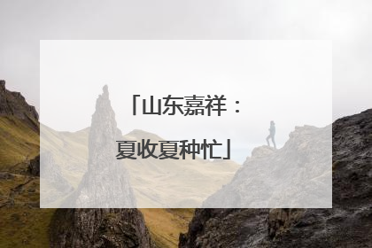 山东嘉祥：夏收夏种忙