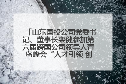 山东国投公司党委书记、董事长栾健参加第六届跨国公司领导人青岛峰会“人才引领 创新驱动”人力资源高质量发展对话会