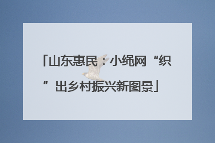山东惠民：小绳网“织”出乡村振兴新图景