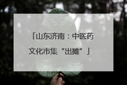 山东济南：中医药文化市集“出摊”