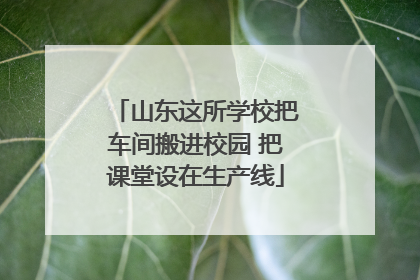 山东这所学校把车间搬进校园 把课堂设在生产线