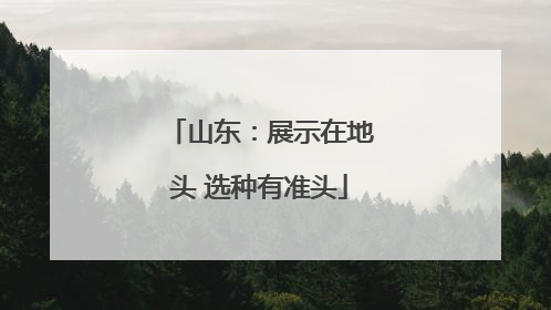 山东：展示在地头 选种有准头