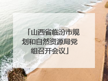 山西省临汾市规划和自然资源局党组召开会议