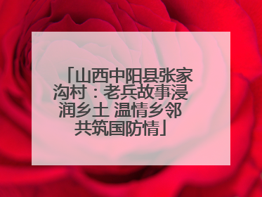 山西中阳县张家沟村：老兵故事浸润乡土 温情乡邻共筑国防情