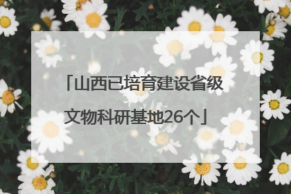山西已培育建设省级文物科研基地26个