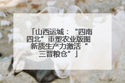 山西运城：“四南四北”重塑农业版图 新质生产力激活“三晋粮仓”