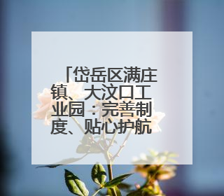 岱岳区满庄镇、大汶口工业园：完善制度、贴心护航、强化监管，打造优质营商“强磁场”
