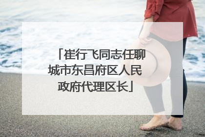 崔行飞同志任聊城市东昌府区人民政府代理区长