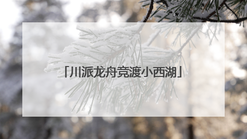 川派龙舟竞渡小西湖