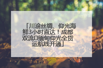 川渝丝绸、仰光海鲜3小时直达！成都双流⇌缅甸仰光全货运航线开通