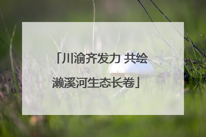 川渝齐发力 共绘濑溪河生态长卷