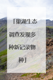 巢湖生态调查发现多种新记录物种