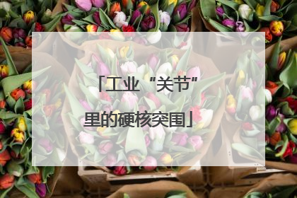 工业“关节”里的硬核突围