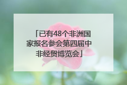 已有48个非洲国家报名参会第四届中非经贸博览会