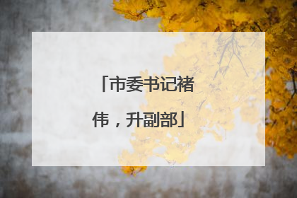 市委书记褚伟，升副部
