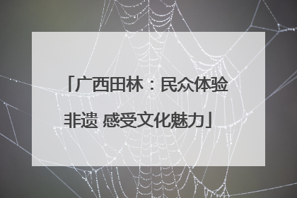 广西田林：民众体验非遗 感受文化魅力