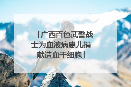 广西百色武警战士为血液病患儿捐献造血干细胞