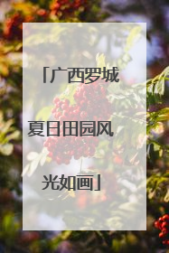 广西罗城夏日田园风光如画