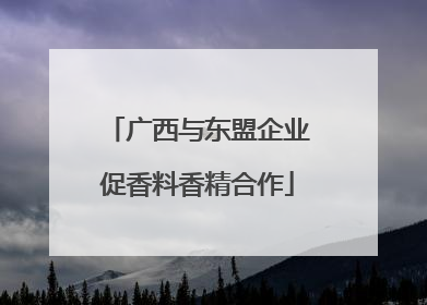 广西与东盟企业促香料香精合作