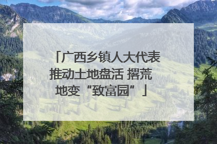 广西乡镇人大代表推动土地盘活 撂荒地变“致富园”