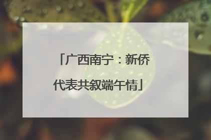 广西南宁：新侨代表共叙端午情