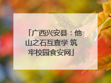 广西兴安县：他山之石互查学 筑牢校园食安网