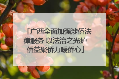 广西全面加强涉侨法律服务 以法治之光护侨益聚侨力暖侨心