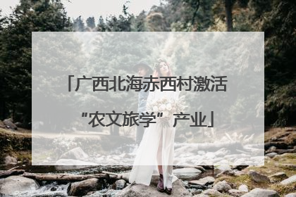 广西北海赤西村激活“农文旅学”产业