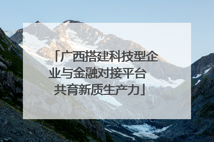 广西搭建科技型企业与金融对接平台 共育新质生产力