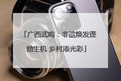 广西武鸣：非遗焕发蓬勃生机 乡村添光彩