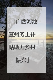 广西河池宜州务工补贴助力乡村振兴