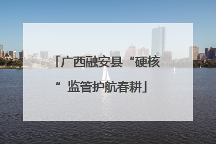 广西融安县“硬核”监管护航春耕
