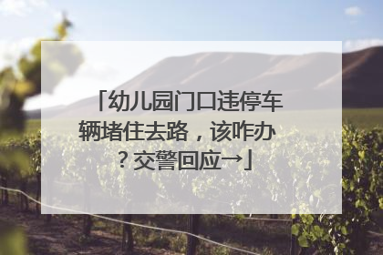 幼儿园门口违停车辆堵住去路，该咋办？交警回应→